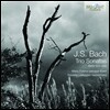 Mario Folena 바흐: 삼중 소나타 (Bach: Trio Sonatas BWV 525-530)