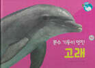 물을 좋아하는 동물 : 분수 기둥이 멋진 고래 (세이펜 적용/미포함)