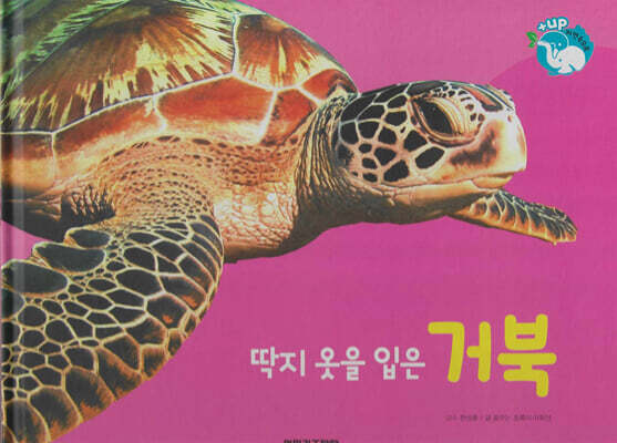 물을 좋아하는 동물 : 딱지 옷을 입은 거북 (세이펜 적용/미포함)