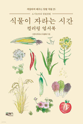 식물이 자라는 시간 컬러링 엽서북