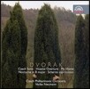 Vaclav Neumann 드보르작: 체코 모음곡 D장조, 후스 서곡, 나의 집, 녹턴, 스케르초 카프리치오소 (Dvorak: Czech Suite, Hussite Overture, My Home, Nocturne, Scherzo Capriccio)