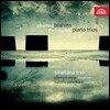 Premysl Vojta / Ludmila Peterkova 브람스: 피아노 트리오, 호른 트리오, 클라리넷 트리오 (Brahms: Piano Trio, Horn Trio, Clarinet Trio)