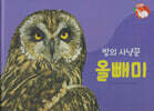날개가 달린 동물 : 밤의 사냥꾼 올빼미 (세이펜 적용/미포함)