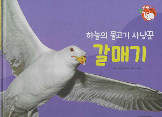날개가 달린 동물 : 하늘의 물고기 사냥 갈매기 (세이펜 적용/미포함)