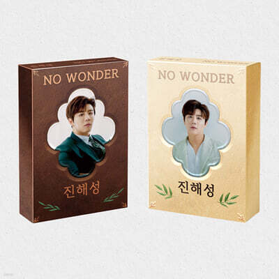 진해성 - 정규앨범 : NO WONDER (USB) [2종 중 1종 랜덤발송]