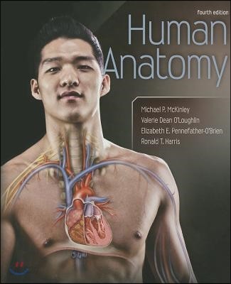 Human Anatomy