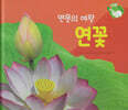꽃과 나무 : 연못의 여왕 연꽃 (세이펜 적용/미포함)