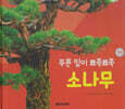 꽃과 나무 : 푸른 잎이 뾰족뾰족 소나무 (세이펜 적용/미포함)