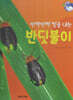 곤충 : 반짝반짝 빛을 내는 반딧불이 (세이펜 적용/미포함)