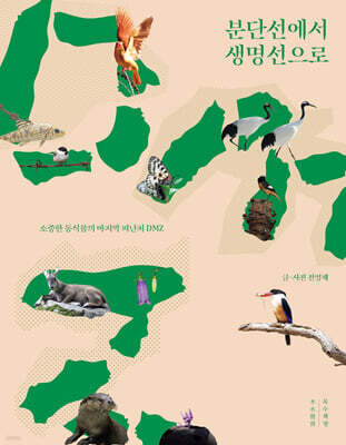 분단선에서 생명선으로 (큰글자도서)