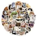 디자인 데코 스티커 50매(고양이)