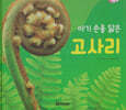 식물과 식생활 : 아기손을 닮은 고사리 (세이펜 적용/미포함)