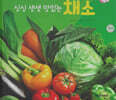 식물과 식생활 : 싱싱 생생 맛있는 채소 (세이펜 적용/미포함)