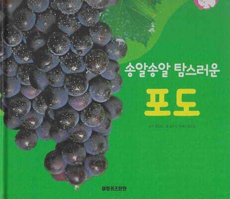 식물과 식생활 : 송알송알 탐스러운 포도 (세이펜 적용/미포함)