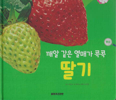식물과 식생활 : 깨알 같은 열매가 콕콕 딸기 (세이펜 적용/미포함)