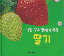 식물과 식생활 : 깨알 같은 열매가 콕콕 딸기 (세이펜 적용/미포함)