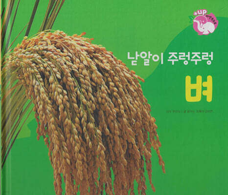 식물과 식생활 : 낟알이 주렁주렁 벼 (세이펜 적용/미포함)