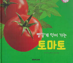 식물과 식생활 : 빨갛게 익어 가는 토마토 (세이펜 적용/미포함)