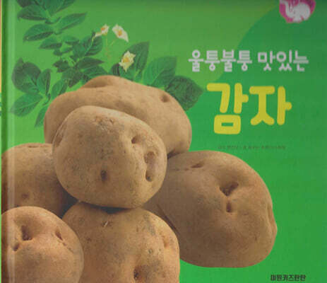 식물과 식생활 : 울퉁불퉁 맛있는 감자 (세이펜 적용/미포함)