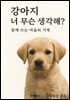 강아지, 너 무슨 생각해?