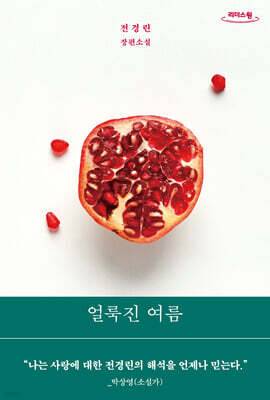 얼룩진 여름 (큰글자도서)