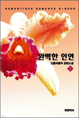 완벽한 인연 2권 (완결)