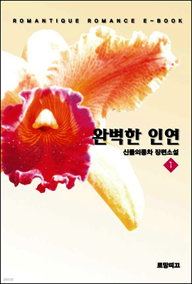 완벽한 인연 1권