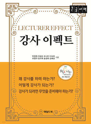 강사 이펙트 (큰글자도서)