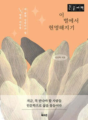 이 별에서 현명해지기 (큰글자책)