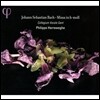 Philippe Herreweghe 바흐: 미사 b단조 BWV232 (Bach: Missa in b minor)
