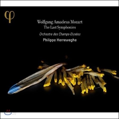 Philippe Herreweghe 모차르트: 후기 교향곡 (Mozart: The Last Symphonies Nos. 39-41)