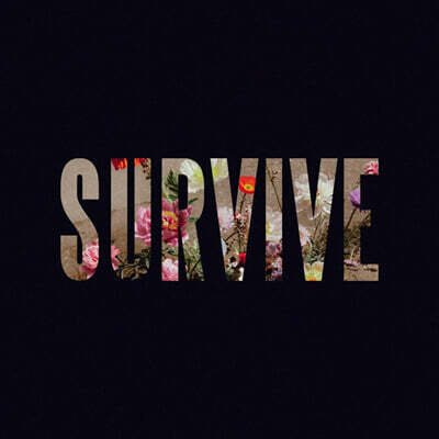 Lewis Capaldi (루이스 카팔디) - Survive