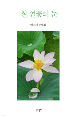흰 연꽃의 눈