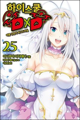 [대여] 하이스쿨 DXD 25권