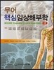 무어 핵심임상해부학