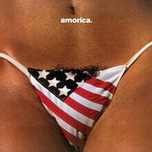Black Crowes (블랙 크로우즈) - 3집 Amorica. [2LP]