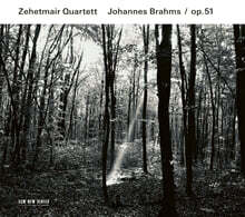 Zehetmair Quartett 브람스: 현악 사중주 Op.51-1,2번 (Brahms: String Quartet Op.51)