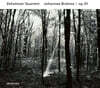 Zehetmair Quartett 브람스: 현악 사중주 Op.51-1,2번 (Brahms: String Quartet Op.51)