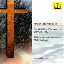 Matthias Jung 바흐: 모테트 (Bach: The Motets BWV225-229)
