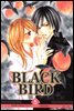 블랙 버드(BLACK BIRD) 05권