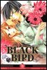 블랙 버드(BLACK BIRD) 16권