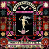 Decemberists - What a Terrible World: What a Beautiful World (Vinyl)(2LP)