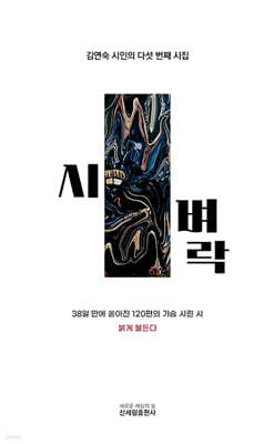 시 벼락