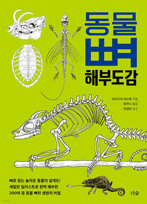동물 뼈 해부도감
