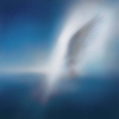 카더가든 (Car, the garden) - EP [Blue Heart]