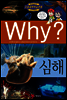 Why? 와이 심해