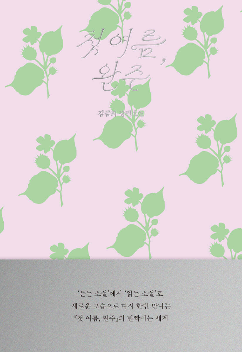첫 여름, 완주 : 읽는 소설