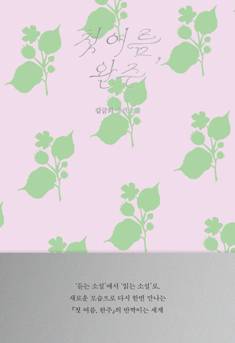 첫 여름, 완주 : 읽는 소설