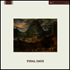 Cult Of Youth - Final Days (Vinyl LP)