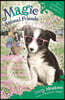 Magic Animal Friends: Evie Scruffypup's Big Surprise